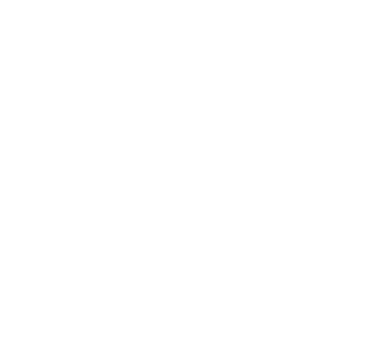 YelloWizard_logo_white_hat YelloWizard_logo_white_hat